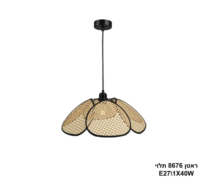 ראטן 8676 תלוי