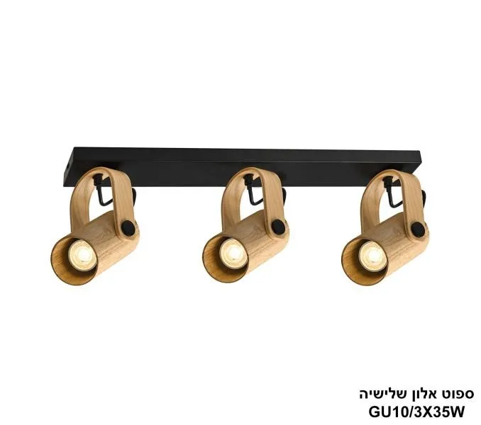 ספוט אלון שלישיה.