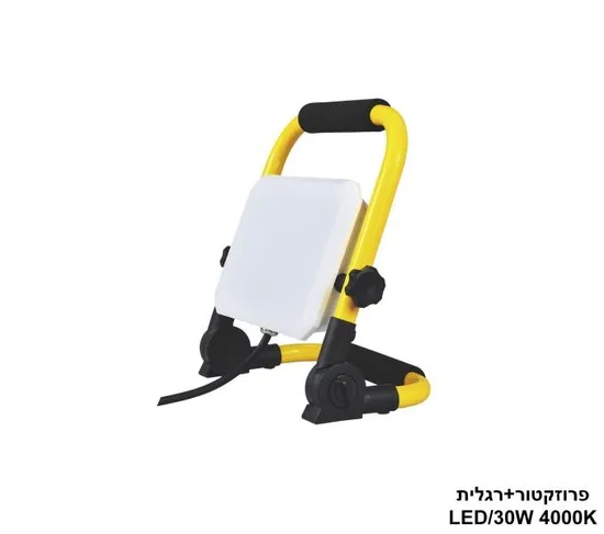 פרוזקטור+רגלית 4000K 30W.