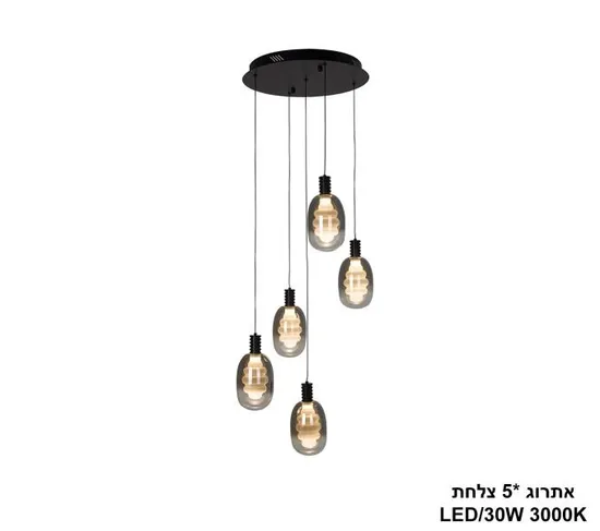 אתרוג 5 צלחת