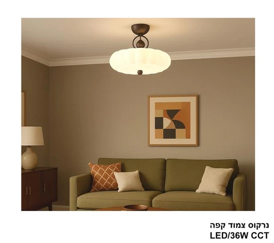 נרקוס צמוד קפה CCT