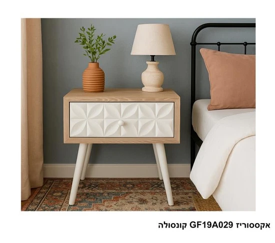 אקססוריז GF19A029 קונסולה